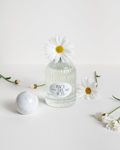 WHITE DAISY
